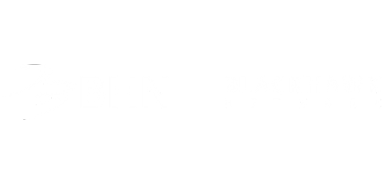 Blackhawk Network 